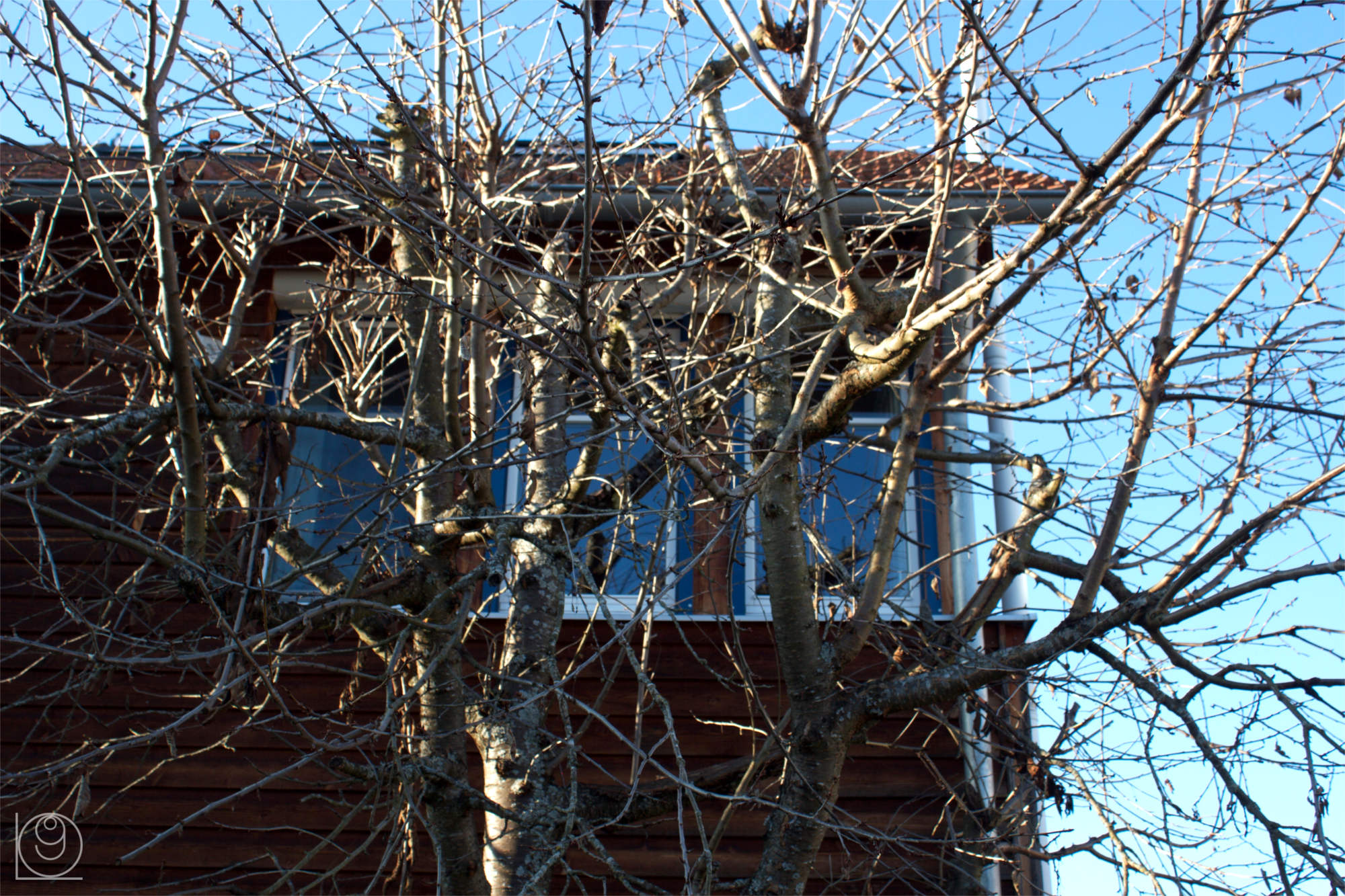 Blick auf das Therapiezimmer.